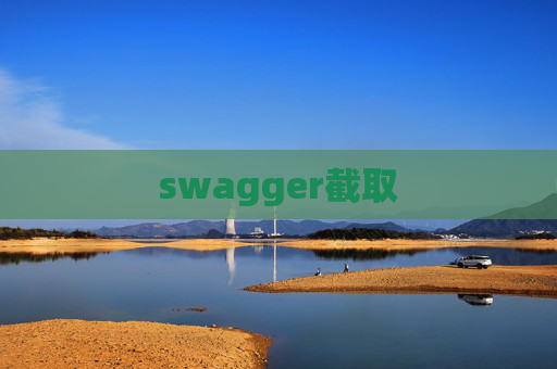 swagger截取